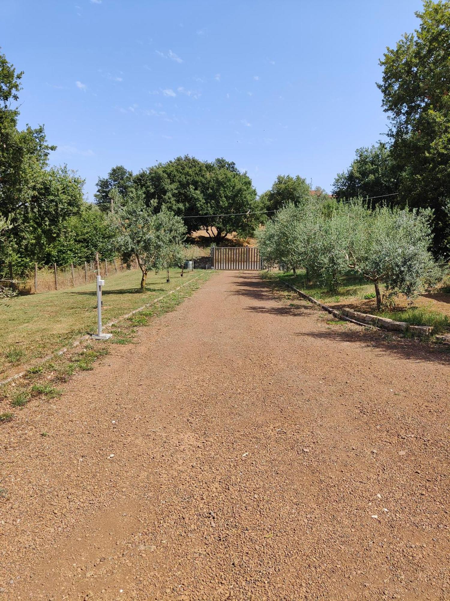 Il Melarancio B&B Monterosi Extérieur photo